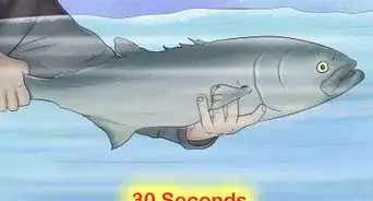 Catch and Release Blue Fish