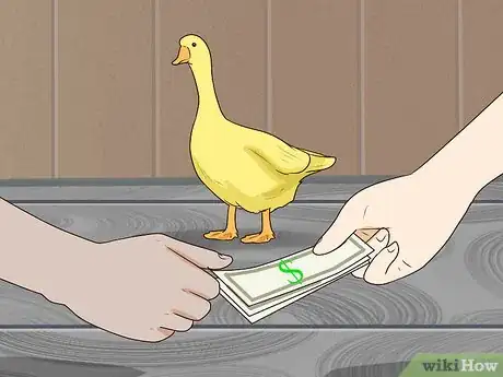 Image titled Keep Geese Step 3