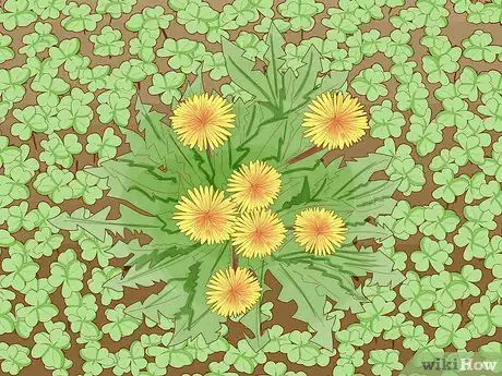 Image titled Create a Bee Friendly Garden Step 13