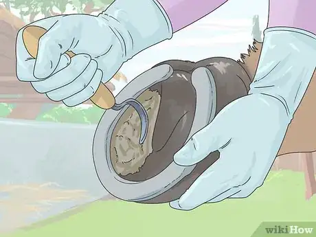 Image titled Clean a Horse Step 16