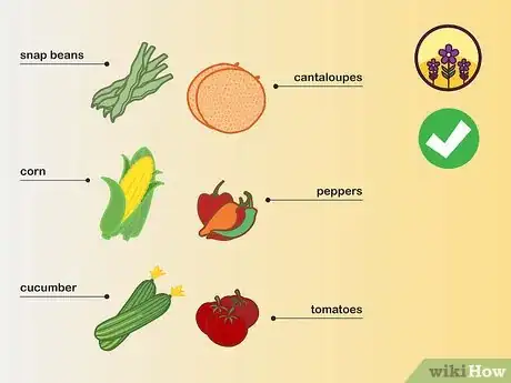 Image titled Choose Vegetables to Grow Step 01
