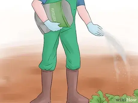 Image titled Grow Perennial Vegetables Step 10