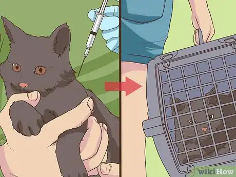 Image titled Make Sure Your Cat's Vaccinations Are Up to Date Step 11