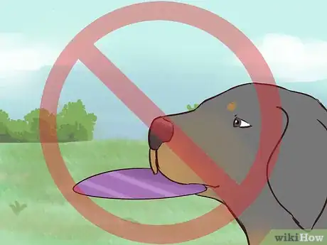 Image titled Choose Exercise That Strengthens Senior Dogs Step 11