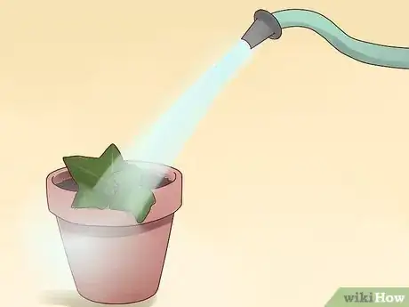 Image titled Plant English Ivy Step 8