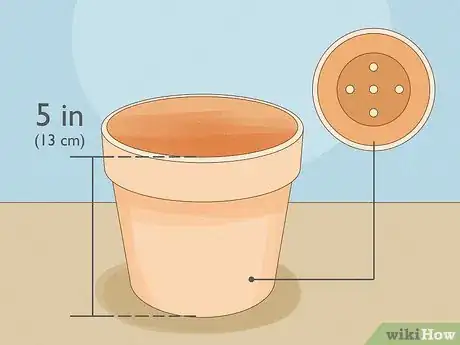 Image titled Grow Mandarin Trees Step 12