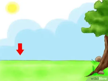 Image titled Plant Pyracantha Step 03