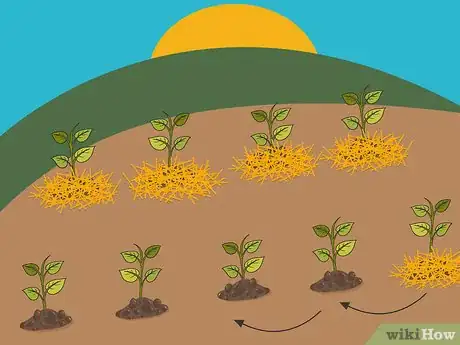 Image titled Grow Hot Peppers Step 15