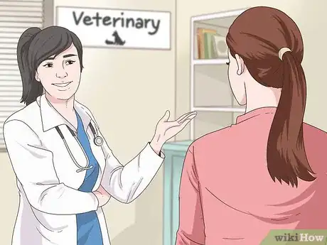 Image titled Manage Obesity in Senior Dogs Step 1