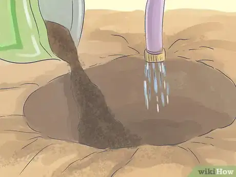 Image titled Grow a Queen Palm Step 9