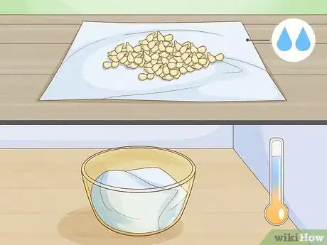 Image titled Grow Mandarin Trees Step 11