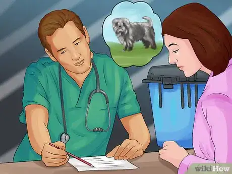 Image titled Identify an Affenpinscher Step 12