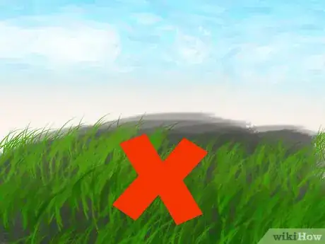 Image titled Make a Seedbed Step 4