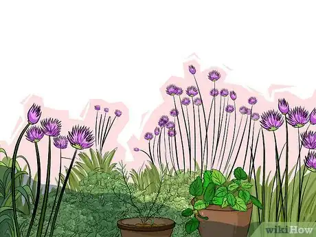 Image titled Choose Vegetables for a Shade Garden Step 6