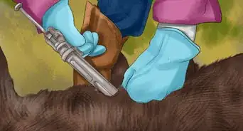 Identify Red Poll Cattle