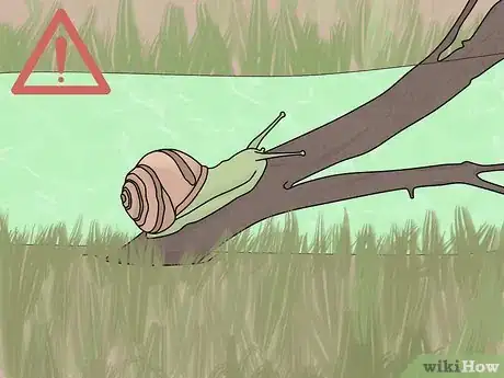 Image titled Prevent Swimmer's Itch Step 2