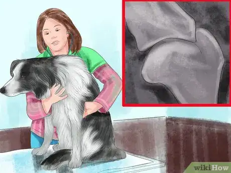 Image titled Choose Food for your Border Collie Step 4