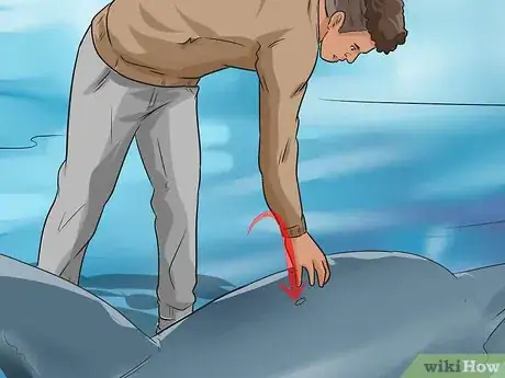 Image titled Care for a Beached Animal Step 7
