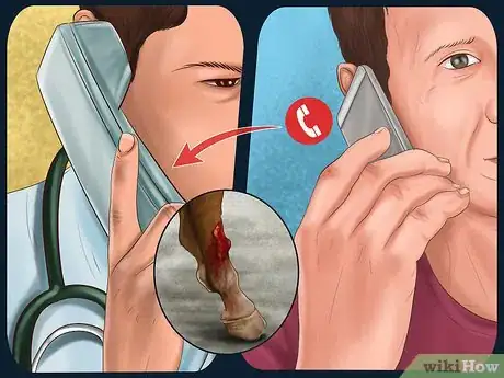 Image titled Heal a Cut on a Horse Step 9