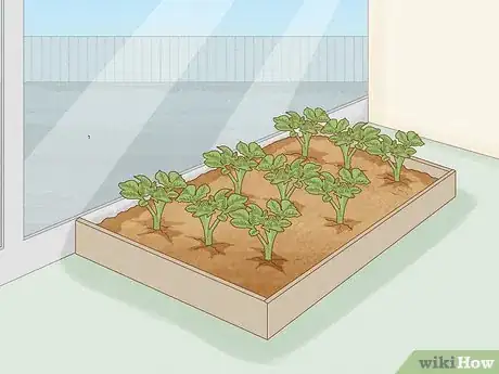 Image titled Grow Food in Winter Step 12