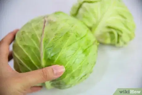 Image titled Select and Store Cabbage Step 2