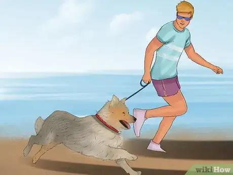 Image titled Take Pets on Beach Vacations Step 11