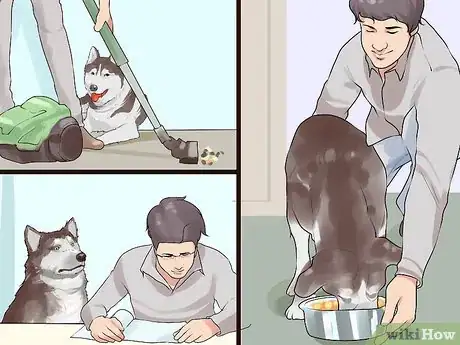 Image titled Responsibly Give a Dog As a Gift Step 3