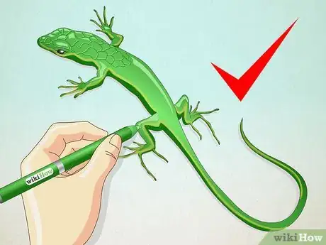 Image titled Draw a Lizard Step 17