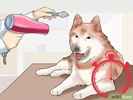 Image titled Groom a Hyper Dog Step 7
