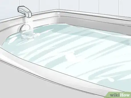 Image titled Groom a Greater Swiss Mountain Dog Step 8