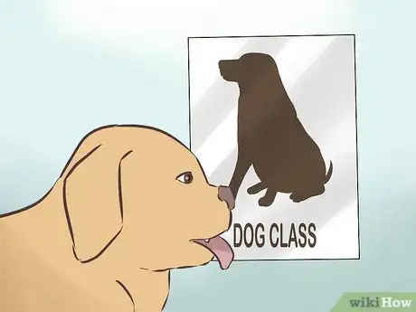 Image titled Create a Sound Reputation As a Dog Breeder Step 9