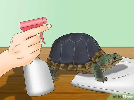 Image titled Help a Shedding Pet Reptile Step 1