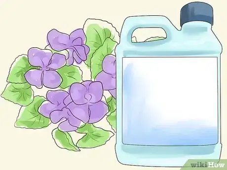 Image titled Control Wild Violets Step 1