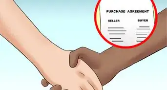 Buy Your First Horse