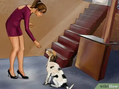 Image titled Keep Your Dog Safe in Extreme Weather Step 5