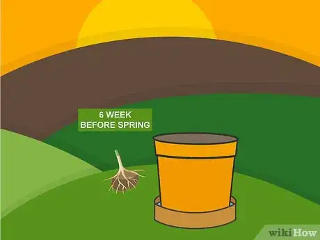 Image titled Plant Bulbs in Pots Step 05