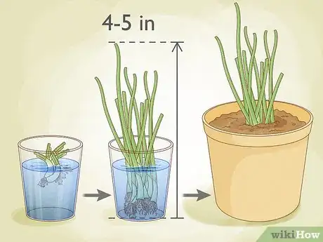 Image titled Grow Vegetables Indoors Step 2