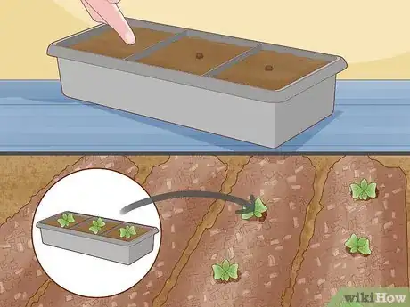 Image titled Garden During Coronavirus Step 10
