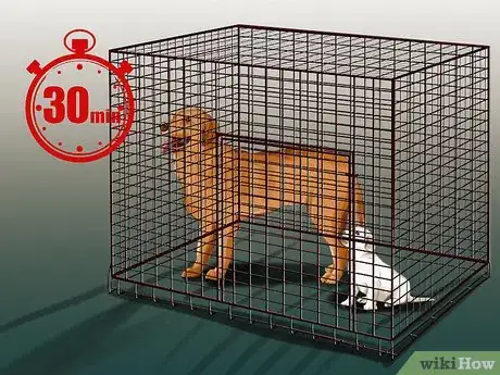 Image titled Introduce a Puppy to a Dog Step 20