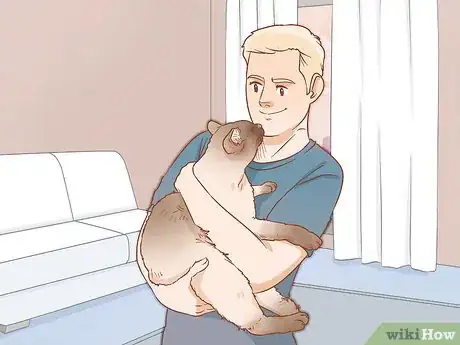 Image titled Find the Right Cat Breed for You Step 5