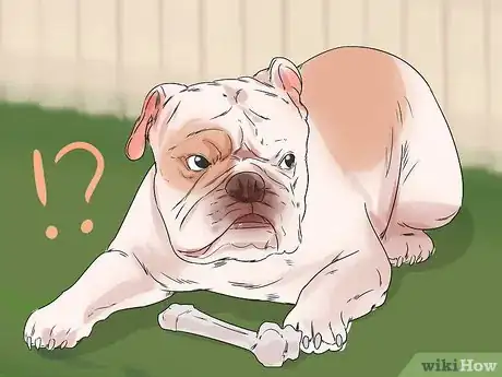 Image titled Help a Reactive Dog Relax Around Food Step 1