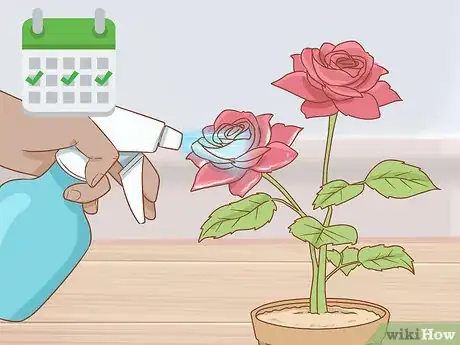 Image titled Grow Long Stem Roses at Home Step 16
