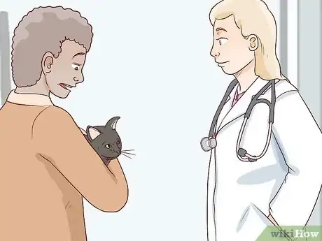 Image titled Handle Autoimmune Skin Disease in Cats Step 4