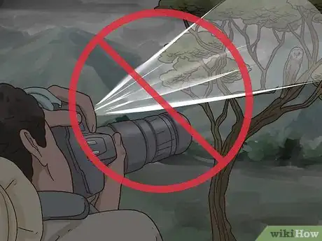 Image titled Photograph Owls Step 18