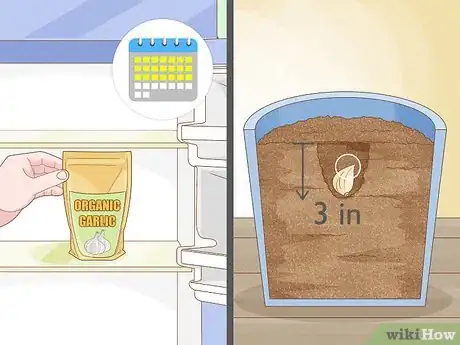 Image titled Grow Vegetables Indoors Step 4