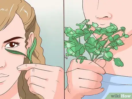 Image titled Use Herbs to Treat the Flu Step 8