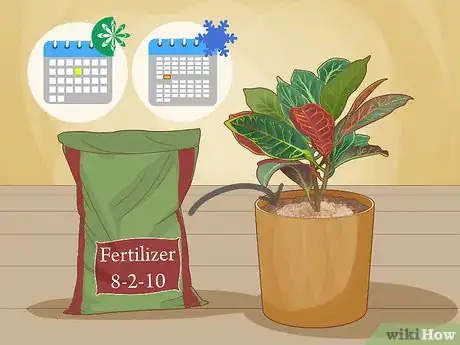 Image titled Care for a Croton Petra Step 9