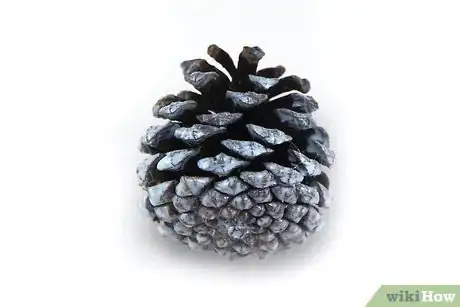 Image titled Make Zinnia Flower Pine Cones Step 3