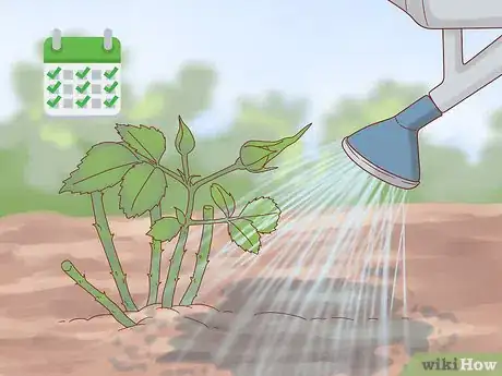 Image titled Plant a Climbing Rose Step 13