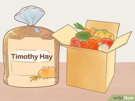 Image titled Keep a Guinea Pig on a Budget Step 15